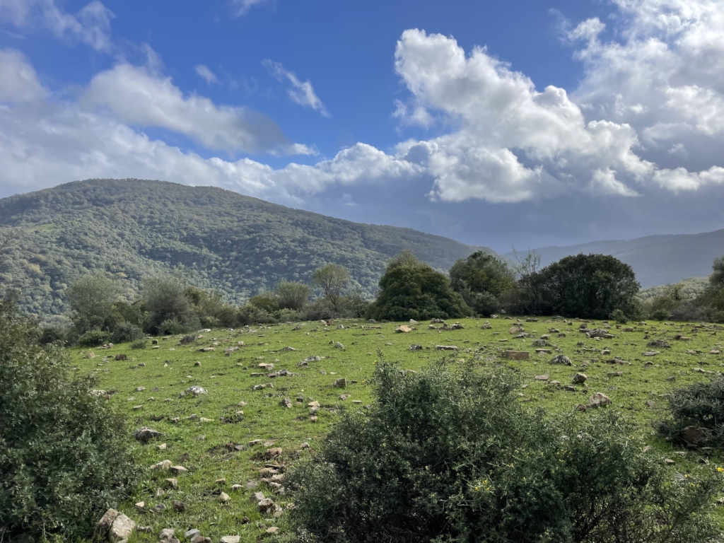 Excellent Plot of land for sale in El Colmenar Andalusia 1 0 1 14