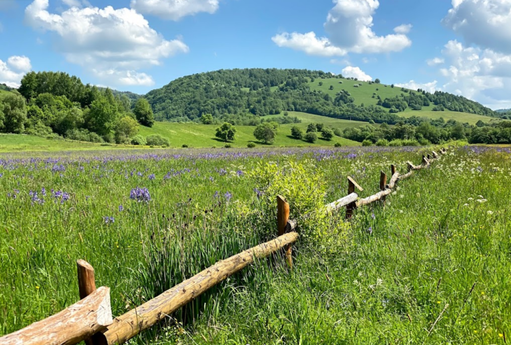 Excellent Plot of land for sale in Hostovice 1 0 1 2