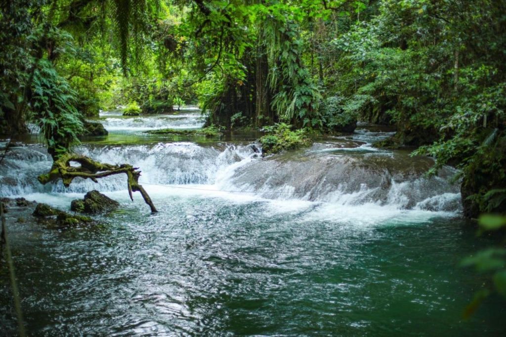 Eden On The River & You Farm For Sale in Port Vila 1 0 17 3