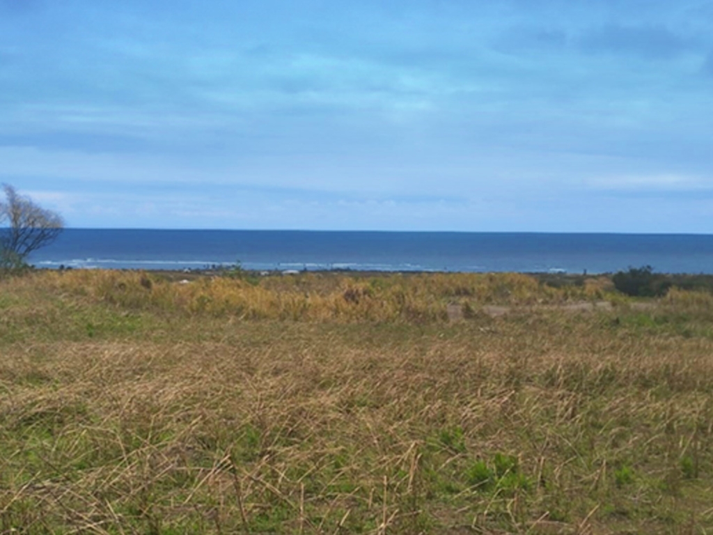 Excellent Plot of land for sale in Beaumont Country Estates Saint Kitts And 1 0 25 1