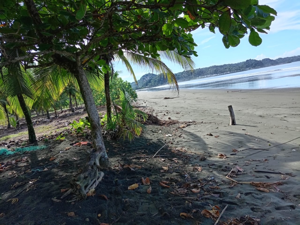 Excellent Beachfront land for sale in Quepos Costa 1 0 3 3