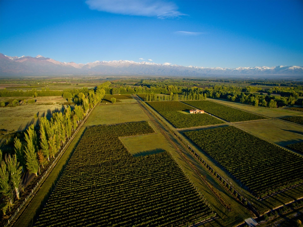 Luxury Vineyard & Villa For Sale in Colonia las Rosas Mendoza 1 0 37