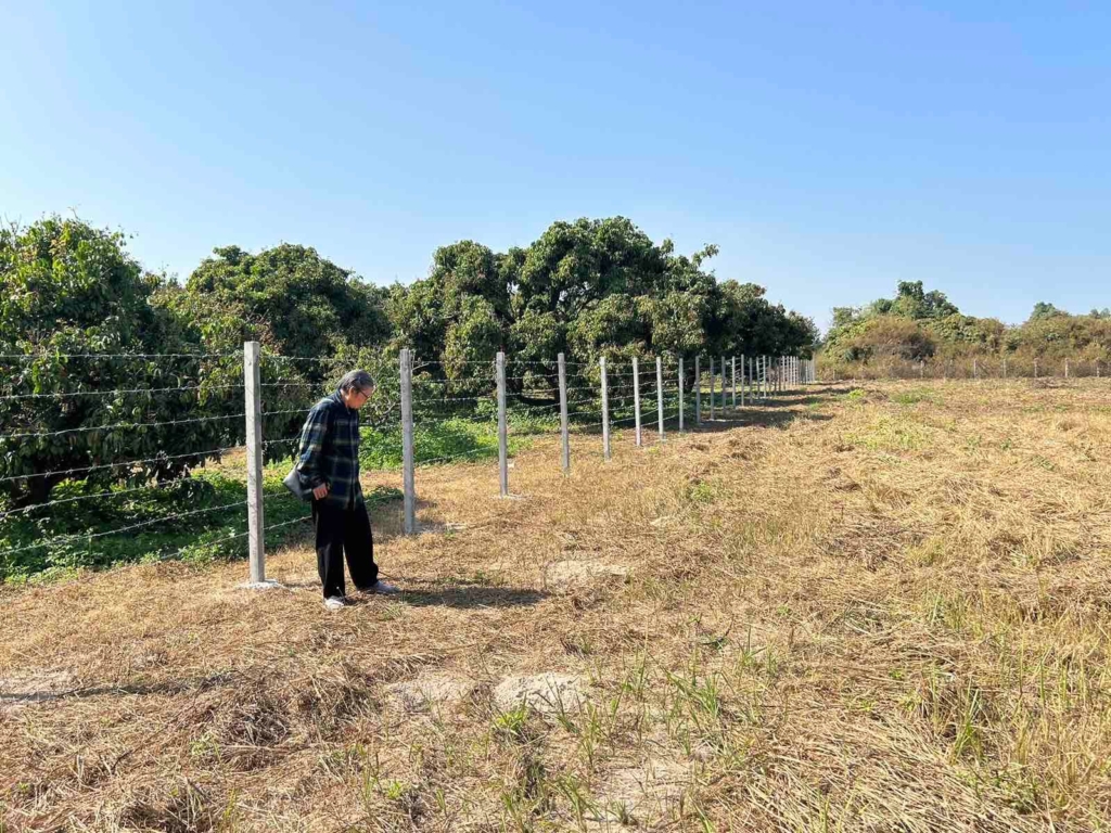Excellent Plot of land for sale in Chaing Mai 1 0 4 5