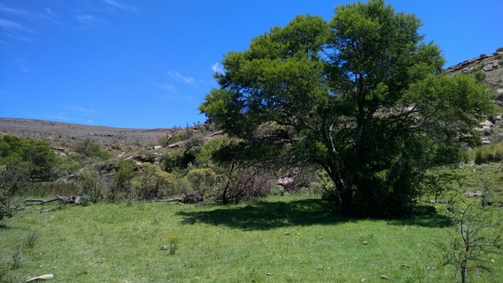 Stunning Farm With Land For Sale in Eastern Cape South 1 0 5 17