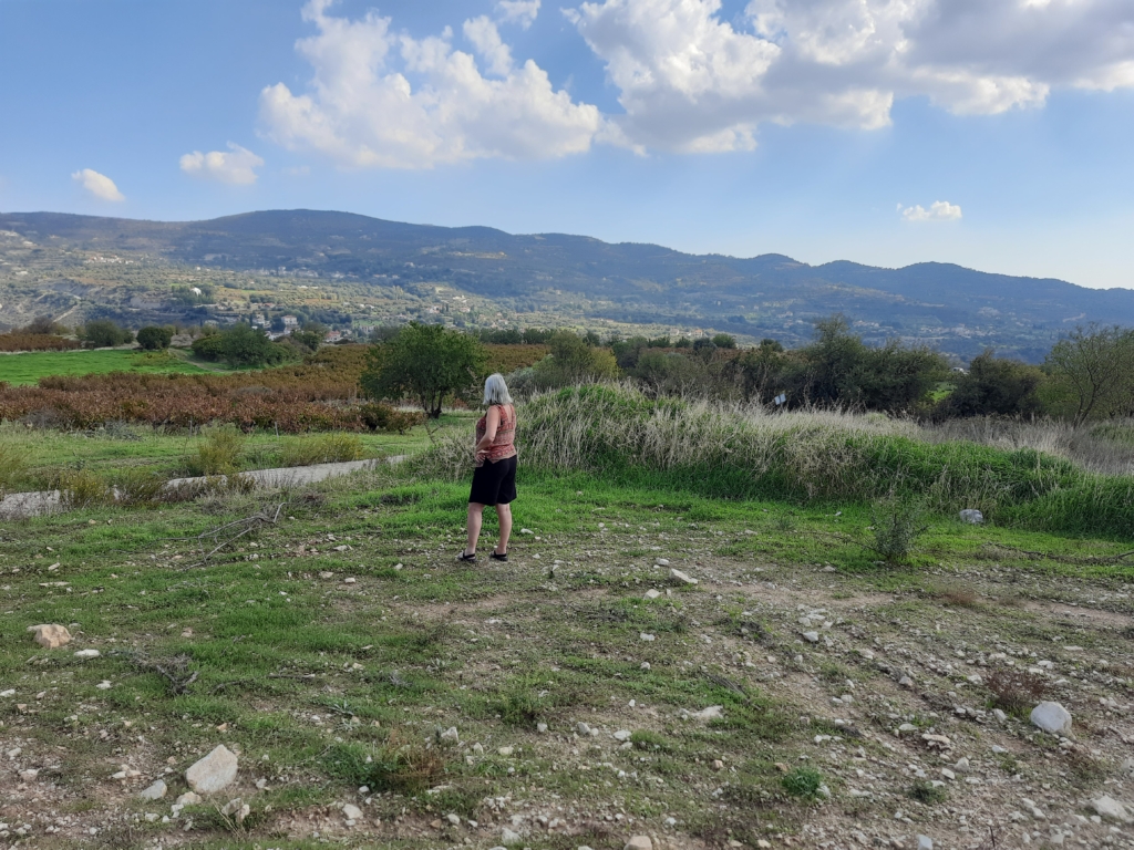 Excellent Plot of land for sale in Silikou Limassol 1 0 6 1