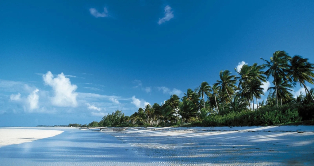 Excellent Plot of land for sale in Andros Island Nassau 1 0 8