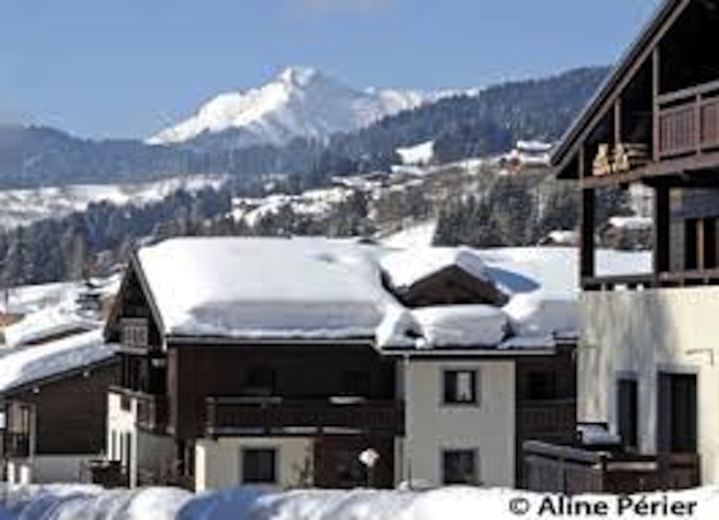 Luxury 2 Bed Leaseback For Sale in Les Gets Ski Resort 1 1 1 1 1