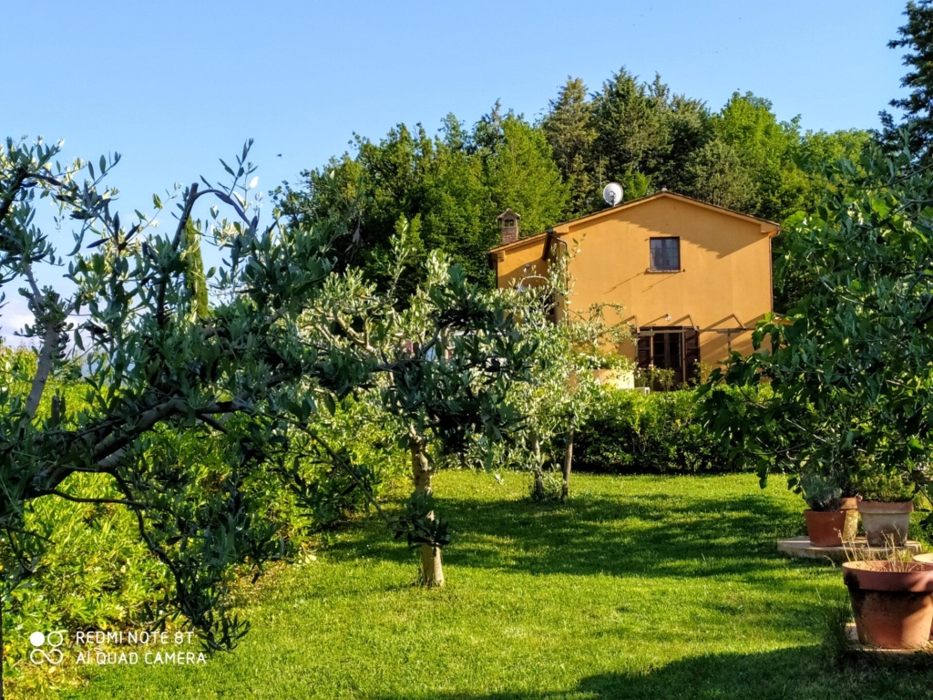 Luxury 5 Bed B&B for Sale In Sant’Angelo in Vado Marche 1 1 12 4