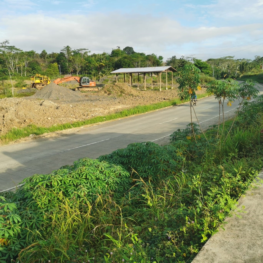 Excellent Plot of land for sale in Hawilian Agusan del Sur 1 1 2 17