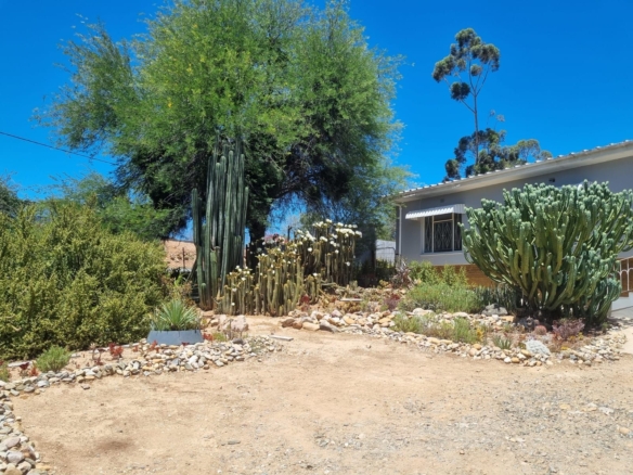1. Main House Garden