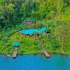 1612556218 Lake View Tree heart property