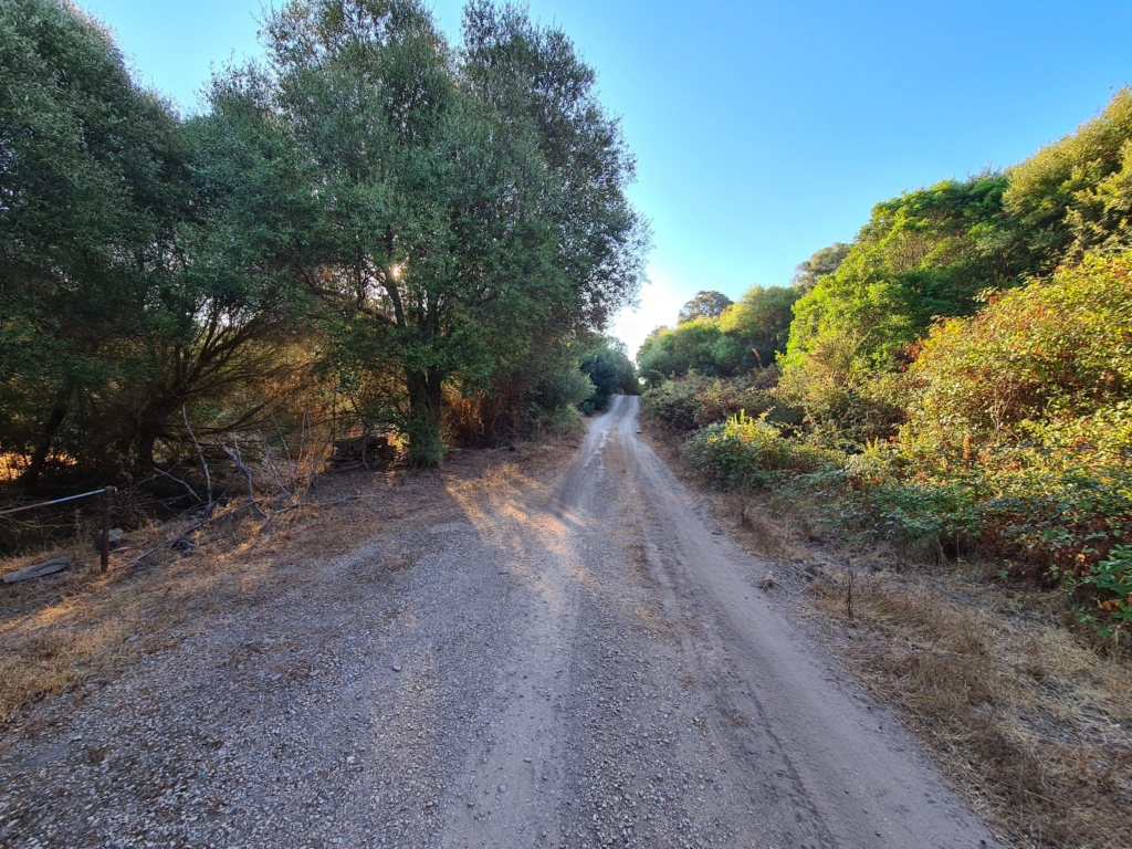 Excellent Plot of land for sale in Sassari Sardinia 1 20220829 080439 min 1