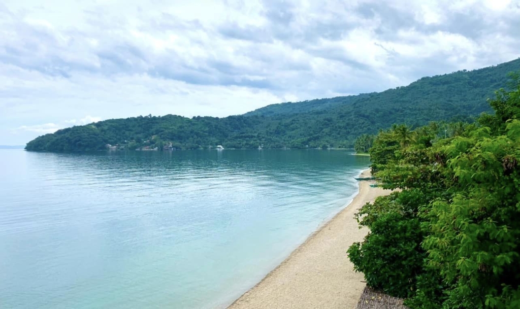 Excellent Plot of land for sale in Puerto Galera The 1 5eNnCBeACn3C 362633970 10159465671075848 4509502325775563358 n