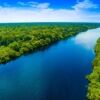 Amazon river