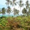 ArysLagoon Garden SeaView 4 1