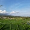 DJI 0014 1