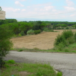 DSC001115781