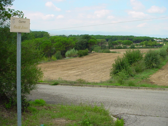 DSC001115781