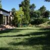 Front garden 1