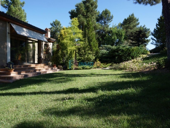Front garden 1