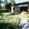 Front garden 2 1