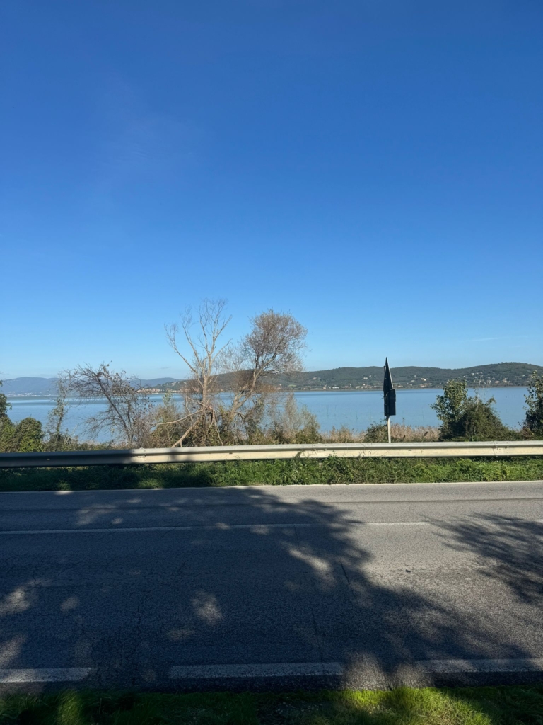 Excellent Plot of land for sale in Sant’Arcangelo Umbria 1 IMG 20241103 WA0003