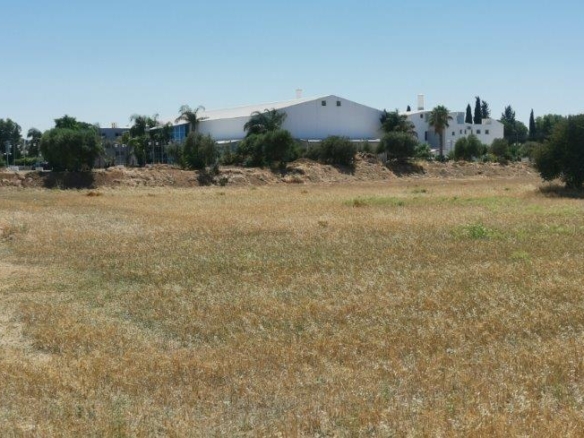 IMG 20220725 145934