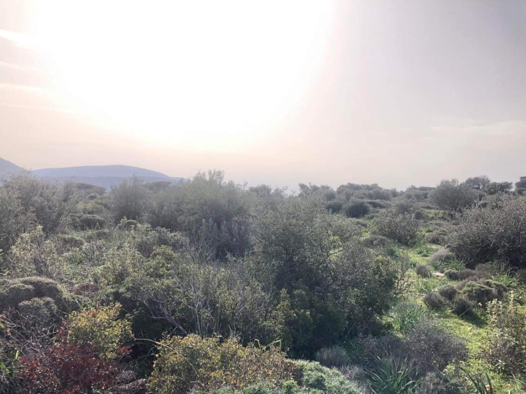 Excellent Plot of land for sale in Porto Rafti East Attica 1 IMG 7344