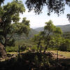 LPIC5787