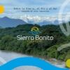 Sierra Bonita Palomino Brochoure 1 1