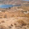 TZIA Pic 1