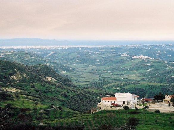 aerial view 1