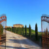 banner image 61