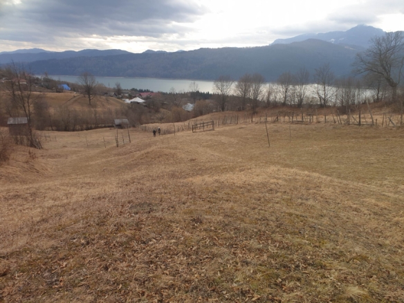 image002 1 4