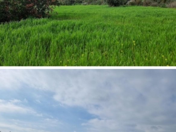 Screenshot 20230125 145620 Gallery