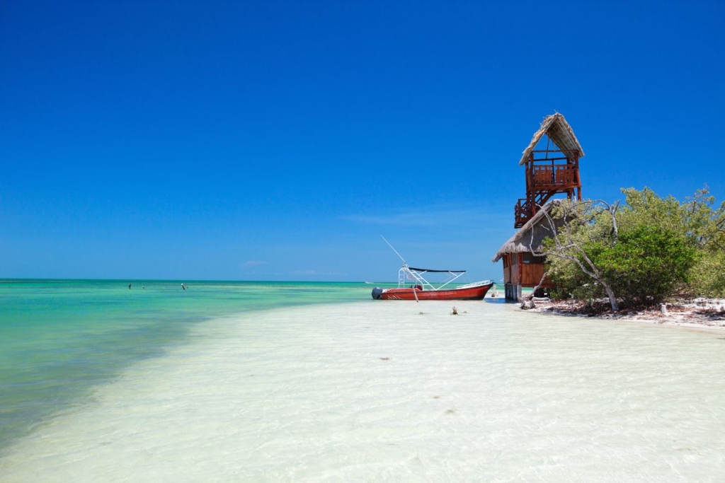 2 Excellent Plots of land for sale in Holbox Region 1 00 10