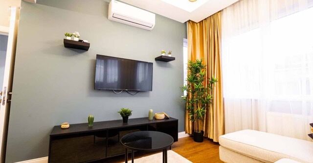 Contemporary living room with TV, plants, and stylish decor in a bright apartment.