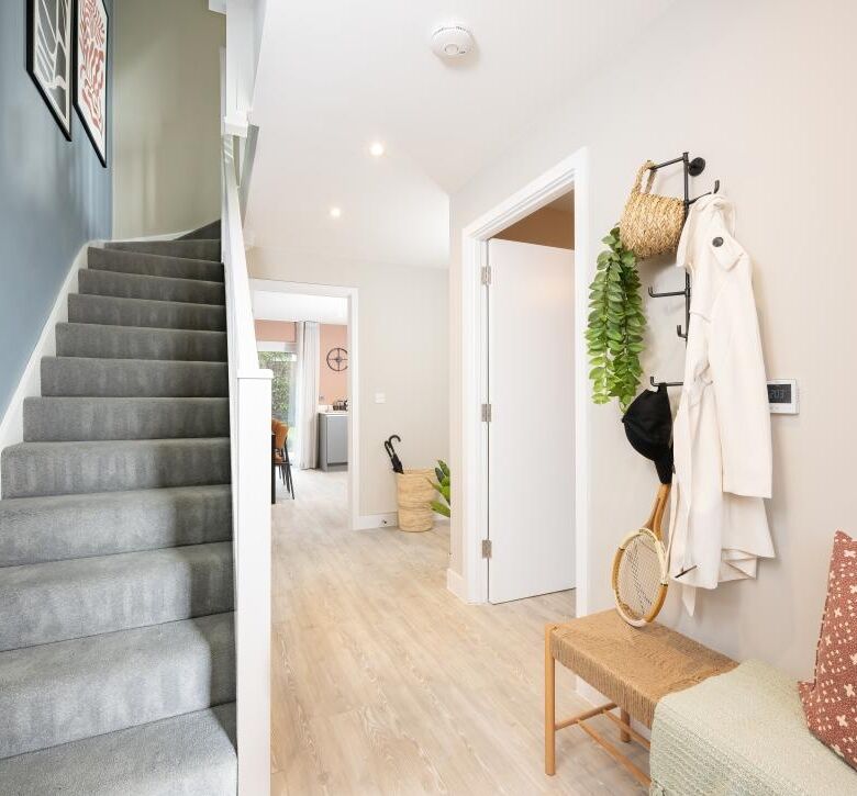 Bright entrance hall with coat hooks and decorative plants in a modern Cambridge house.
