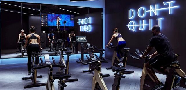 Modern gym interior with fitness equipment and scenic city views near Alexandra Park.