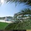 Beautiful view of Grosseto Marina with lush palm trees and waterfront scenery.