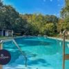 Swimming pool at a detached villa in Dante Alighieri Village, surrounded by lush greenery and trees.