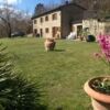 Beautiful stone house with garden in Talla Casentino Tuscany Arezzo Italy.