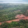 Beautiful land plot for sale on Bintan Island, Indonesia, ideal for development or investment.