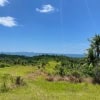 Aerial view of volcanic terrain meeting lush tropical wilderness near Ometepe Island.