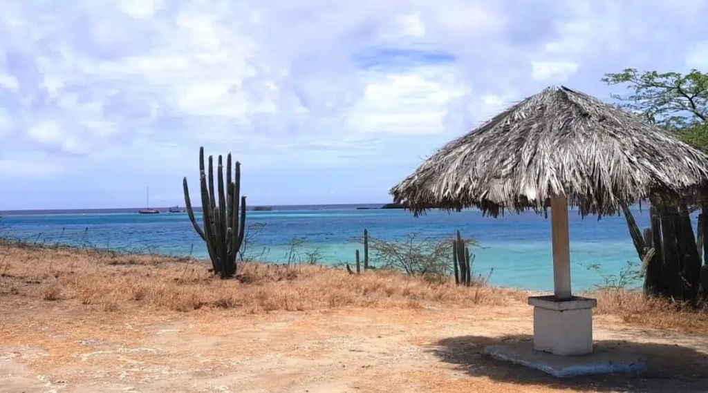 Mangel Halto Beachfront Apartment 1 352811957 1312080149713896 1531923655635789444 n 1400x650 1 1170x650.jpg