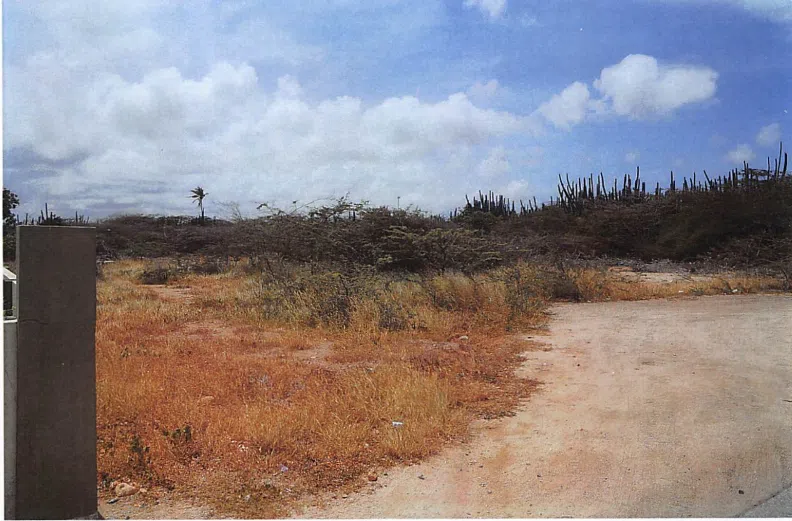 Brazil, San Nicolas Private Property Land for Sale 23,562M² 1 Screenshot 2023 12 04 125450.png