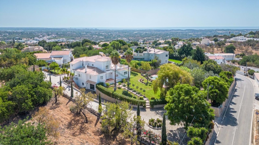 Loule 1 3315d23e45af426fe381 xlarge