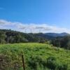 Beautiful rural landscape in Loule featuring green fields and distant hills under a clear blue sky.