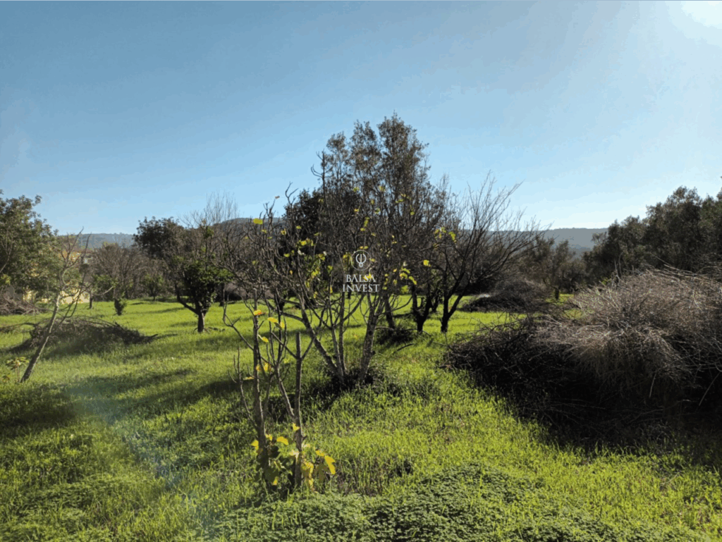 Loule 1 7d52412d765f42c70b65 xlarge