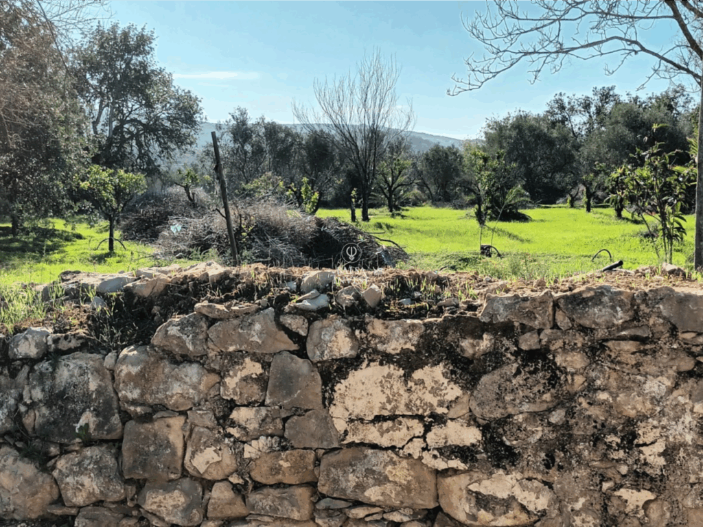 Loule 1 83754138bb04556f87ff xlarge